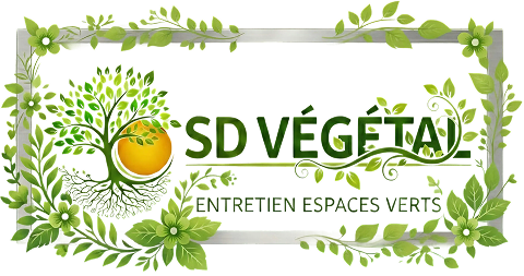 SD VÉGÉTAL